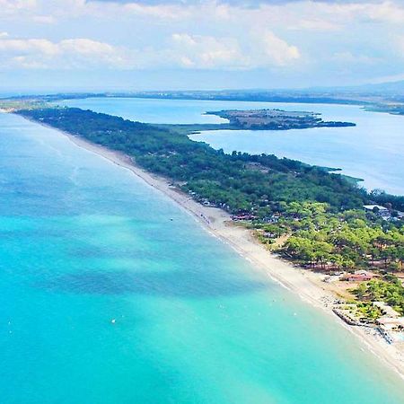 Chambres D Hotes A 20 Pas De La Plage Lucciana  Zewnętrze zdjęcie