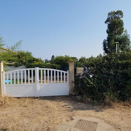 Chambres D Hotes A 20 Pas De La Plage Lucciana  Zewnętrze zdjęcie